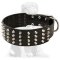 Studded Leather Mastiff Collar