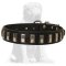 Daily Mastiff collar with nickel plates