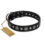 "Vintage Elegance" FDT Artisan Black Leather Mastiff Collar with Engraved Brooches and Studs