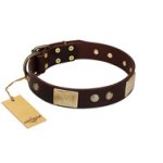 "Middle Age" FDT Artisan Brown Leather Mastiff Collar with Old Bronze-Plated Engraved Flowers and Large Plates