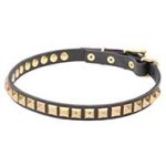 Mastiff Narrow Leather Dog Collar with Brass Studs