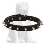Spiky leather Mastiff collar