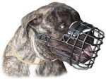 Strong Metal Wire Basket Bullmastiff Muzzle for Winter Time