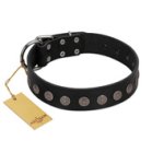 "Silent Star" Handmade FDT Artisan Designer Black Leather Mastiff Collar with Engraved Plates