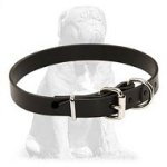 Simple stylish leather collar