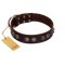 "King Arthur" FDT Artisan Brown Leather Mastiff Collar with Spiky Plates