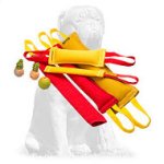 Mastiff Ultimate Dog Training Set