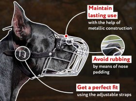 German Mastiff Wire Basket Dog Muzzle - German Mastiff