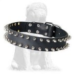 Mastiff Spiked Leather Collar for Walking