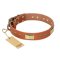 'Enchanting Spectacle' FDT Artisan Mastiff Tan Leather Dog Collar with Golden-Like Studs - 1 1/2 inch (40 mm) wide