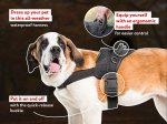 Nylon Practical Harness for Tracking/Pulling