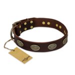 'Chocolate kiss' FDT Artisan Leather Mastiff Collar with Old Bronze Look Oval Plates