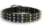 Studded Black collar 24'' for Mastiff /24 inch dog collar-S59