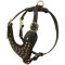 Delightful leather studded harness for English Mastiff