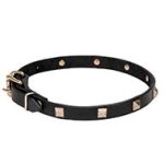 Mastiff Impressive Leather Dog Collar with Brass Studs