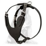 Mastiff Attack Training Large Leather Dog Harness - Durable Dog Harness