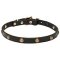 Mastiff Leather Canine Collar with Brass Decorations