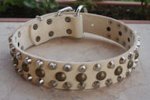 Leather Dog Collars with Studs for Mastiff