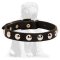 Mastiff Leather Collar with Nickel Half-Ball Studs