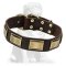 Designer Mastiff Collar with Plates