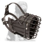 Mastiff Leather Padded Wire Basket Dog Muzzle for Winter Season