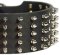 Rich Spiked Leather Dog Collar for Mastiff