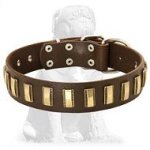 Chic Leather Mastiff Collar with Brass Plates