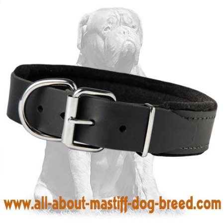 Padded Leather dog collar with thick felt for walking ,training