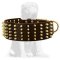 Leather Spiked Mastiff Collar