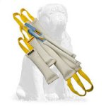 Durable Fire Hose Bite Tugs - Training Set