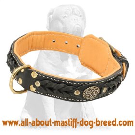 Mastiff Royal Nappa Padded Handmade Leather Dog Collar