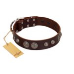 "Choco Brownie" FDT Artisan Brown Leather Mastiff Collar Adorned with Silver-Like Conchos
