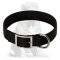 Nylon Dog Collar- 2 Ply Nylon with Nickel Plated Hardware