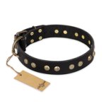 'Black Elegance' FDT Artisan Mastiff Leather Dog Collar with Round Studs
