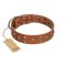 "Enchanted Skulls" FDT Artisan Tan Leather Mastiff Collar with Chrome Plated Skulls