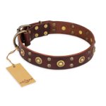 'Caprice of Fashion' FDT Artisan Mastiff Brown Leather Dog Collar with Round Decorations