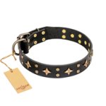 "A La Mode" FDT Artisan Exclusive Black Leather Mastiff Collar