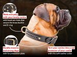 Braided Leather Bullmastiff Collar | Rustproof Hardware