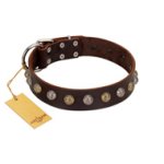 "Gape Buster" FDT Artisan Brown Leather Mastiff Collar with One Row of Studs