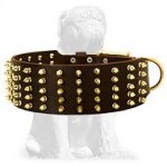 Leather Spiked Mastiff Collar