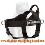 Mastiff Nylon Dog Harness Multi-Tasking with Pattches