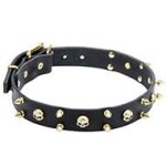 Mastiff Leather Dog Collar with Spikes and Studs