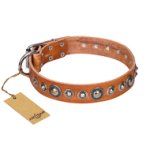'Daily Chic' FDT Artisan Tan Leather Mastiff Collar with Decorations