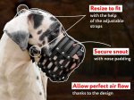Universal Leather Muzzle for German Mastiff