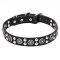 Mastiff Leather Dog Collar with Silver-like Circles and Round Studs