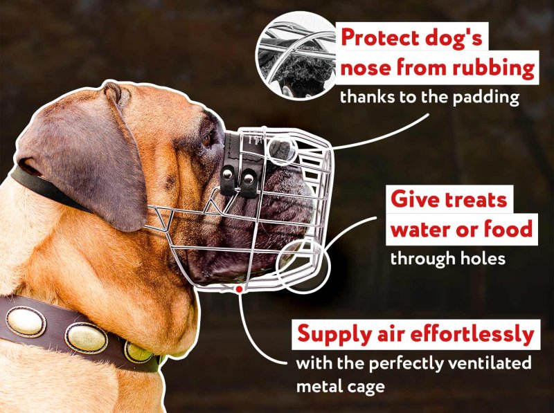 Bullmastiff Basket Muzzle for Everyday Use - Click Image to Close