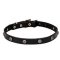 Mastiff Leather Dog Collar with Engraved Round Studs
