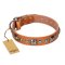 'Era of Future' FDT Artisan Handcrafted Tan Leather Mastiff Dog Collar with Decorations