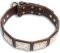 Mastiff Personalized Brown dog collar 19 inch/19'' collar - C83