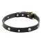 Mastiff Leather Collar with Brass Spikes and Skulls 1 inch (25 mm) wide